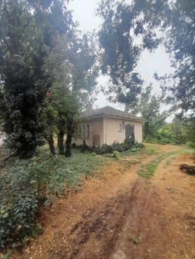 Bar; Café Bojouritsa, région Pleven 2