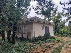 Bar; Café Bojouritsa, région Pleven 1