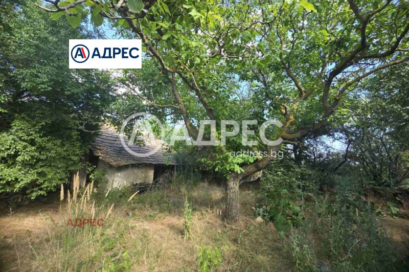 Til salgs  Plott region Varna , Avren , 3155 kvm | 70956209 - bilde [3]