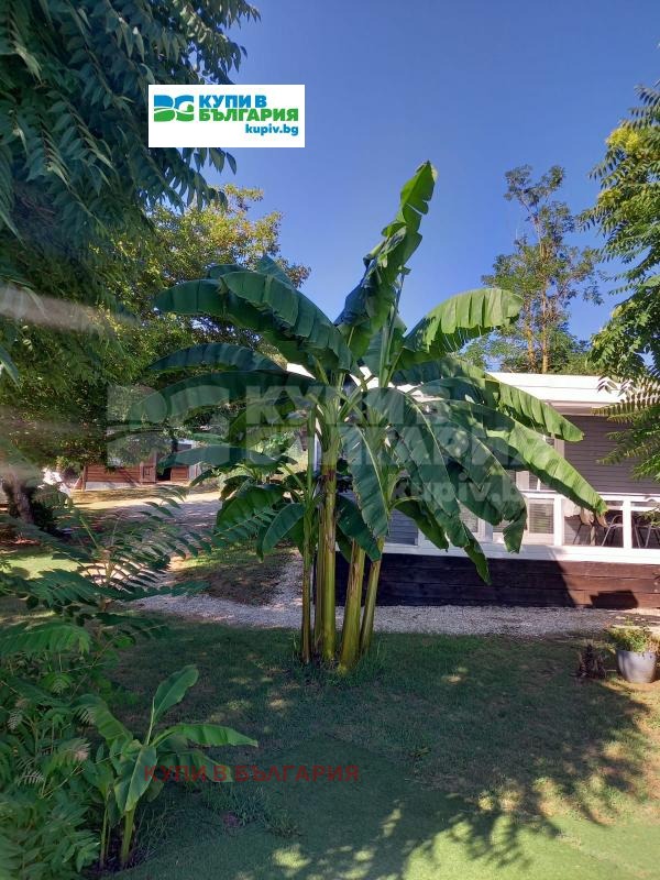 Продава КЪЩА | Imot.bg — изображение 16