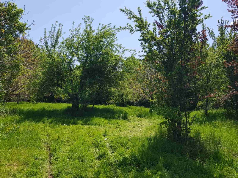 De vânzare  Casa regiunea Sofia , Osicovsca Lacavița , 60 mp | 11405474 - imagine [4]