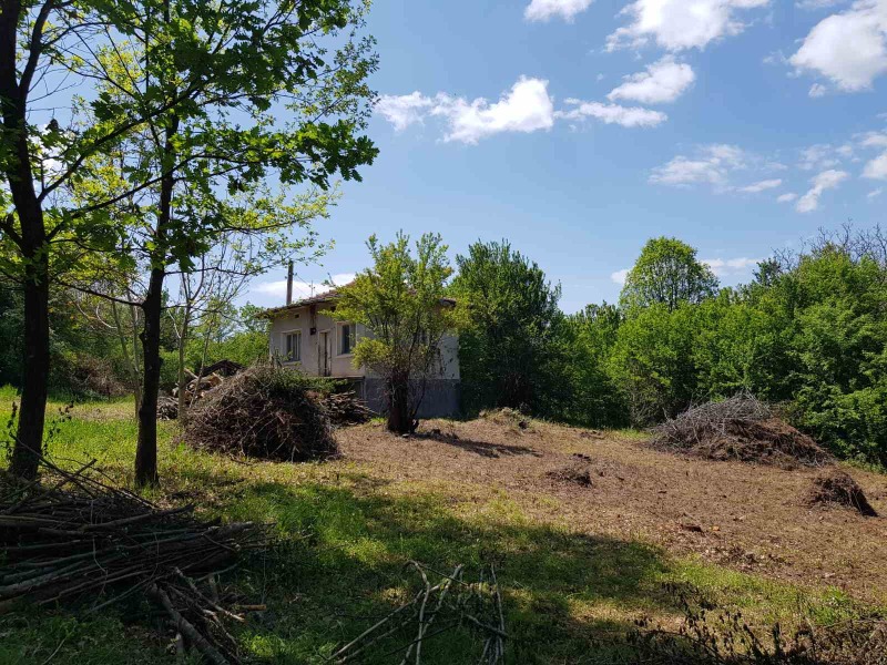 De vânzare  Casa regiunea Sofia , Osicovsca Lacavița , 60 mp | 11405474 - imagine [7]