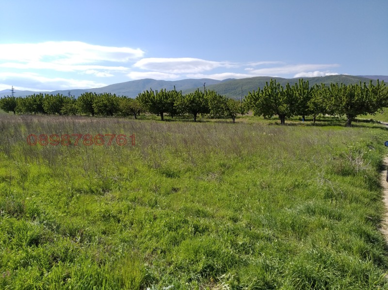 Продава ПАРЦЕЛ, с. Белащица, област Пловдив, снимка 3 - Парцели - 52873280