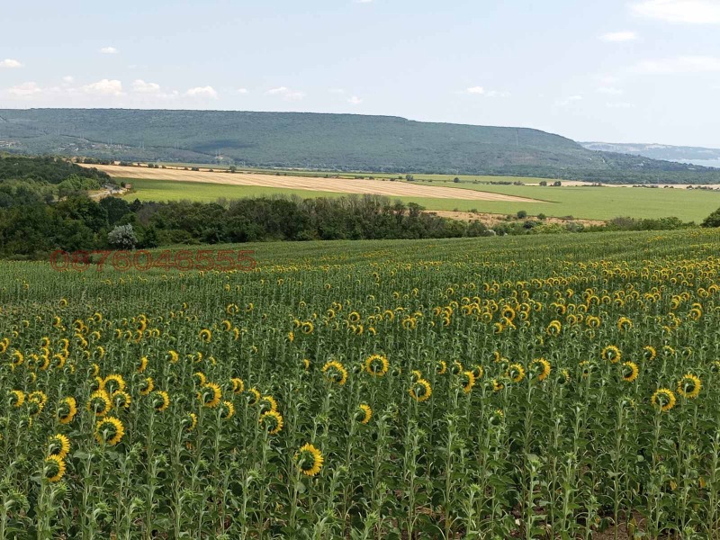Продаја  Плот регион Варна , Генерал Кантарджиево , 659 м2 | 98481134 - слика [3]