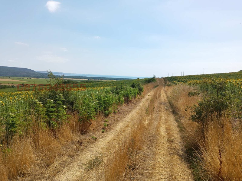 Продаја  Плот регион Варна , Генерал Кантарджиево , 659 м2 | 98481134 - слика [7]