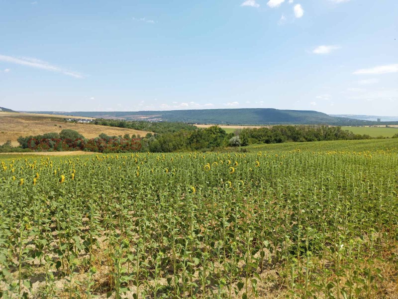 Продаја  Плот регион Варна , Генерал Кантарджиево , 659 м2 | 98481134 - слика [4]