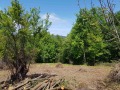 Продава КЪЩА, област София, с. Осиковска Лакавица • 25000 € / 48895.75 лв. • 49685227 5