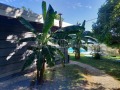 Продава КЪЩА, област Варна, с. Садово • 320000 € • 24713020 — Holmes.bg