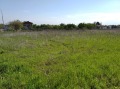 Продава ПАРЦЕЛ, с. Белащица, област Пловдив, снимка 2