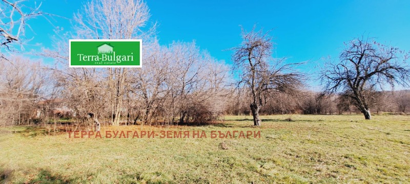 Продава ПАРЦЕЛ в град Перник, Църква - 1200 кв.м / При запитване, ТЕРРА БУЛГАРИ-ЗЕМЯ НА БЪЛГАРИ