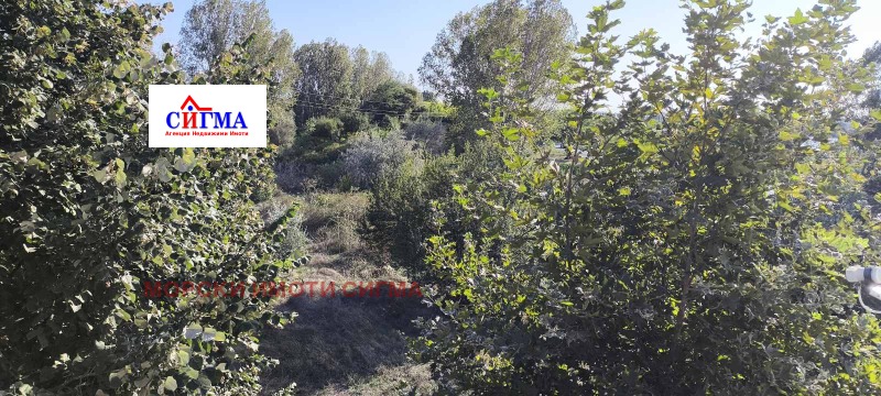 На продаж  1 спальня область Бургас , к.к. Слънчев бряг , 50 кв.м | 74390941 - зображення [6]
