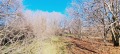 Продава ПАРЦЕЛ, град Перник, Църква • по договаряне • 75282090 2