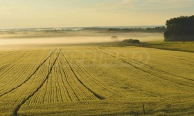 Продава парцел област Бургас гр. Малко Търново - [1] 