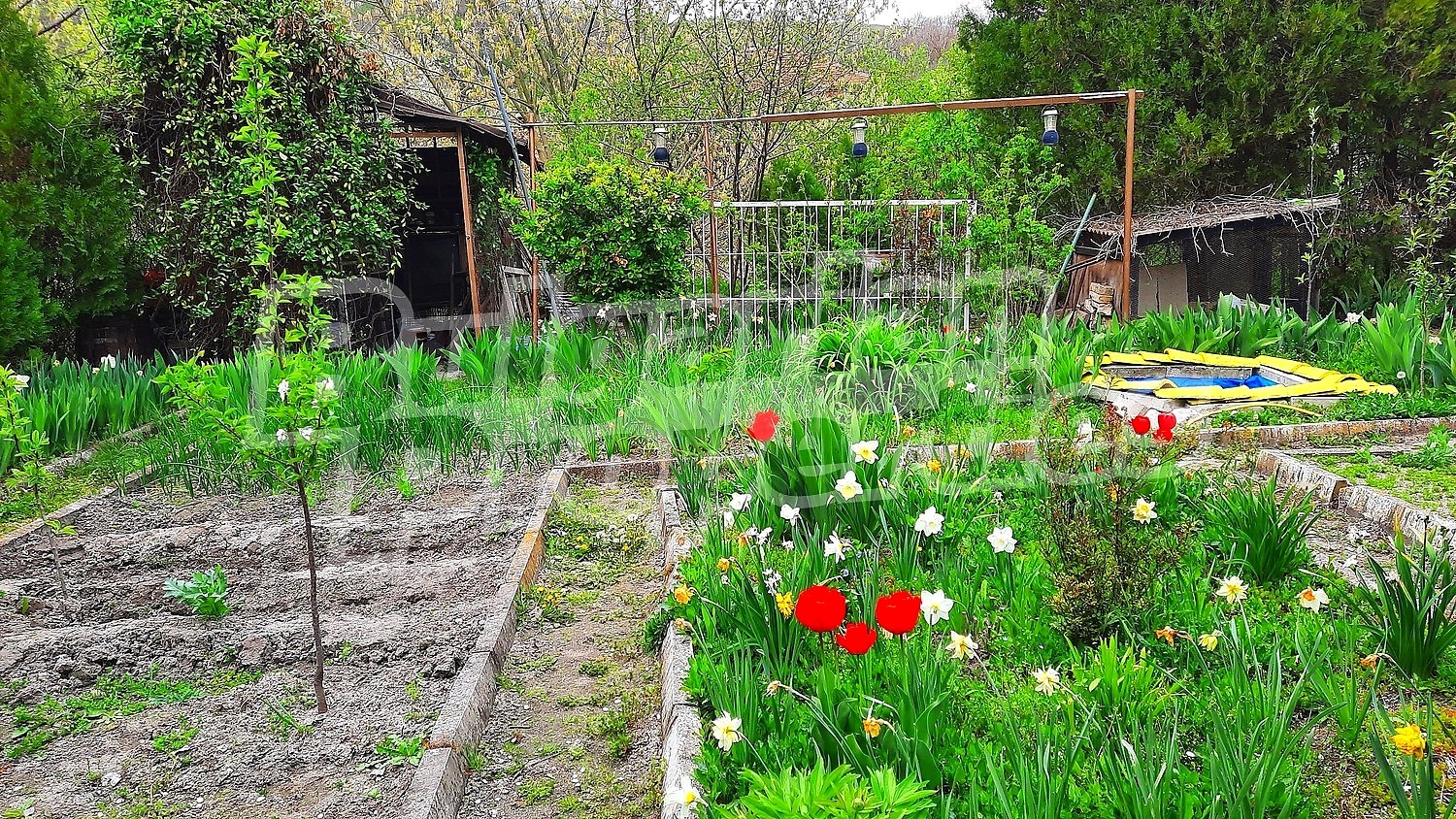 Продава МАГАЗИН, гр. Варна, с. Константиново, снимка 4 - Магазини - 54460332