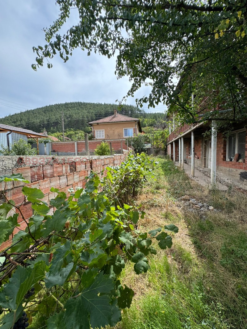 Продава КЪЩА, с. Драговищица, област Кюстендил, снимка 10 - Къщи - 53126374