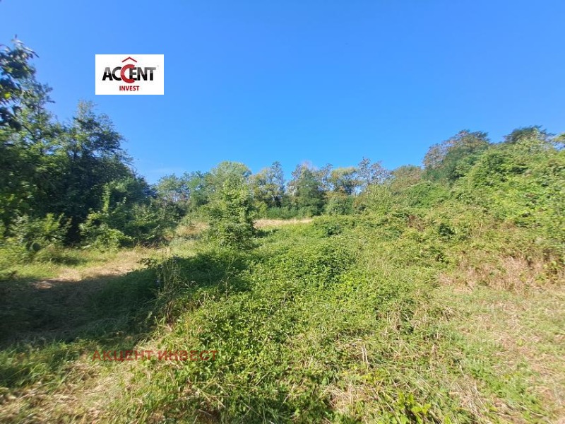 For Sale  Plot region Varna , Sadovo , 1000 sq.m | 66883972 - image [6]