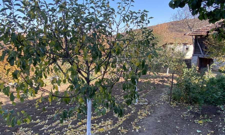 ������� ���� | Imot.bg � ����������� 13