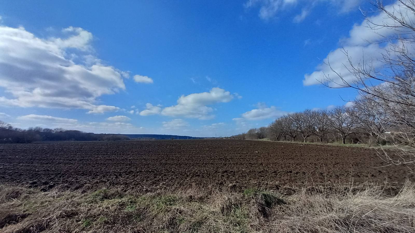 Продава ПАРЦЕЛ, гр. Разград, Промишлена зона - Запад, снимка 5 - Парцели - 54747801