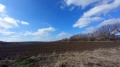 Продава ПАРЦЕЛ, град Разград, Промишлена зона - Запад • по договаряне • 38273241 3