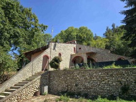 Hus Gorni Okol, region Sofia