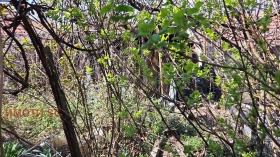 ������� ���� | Imot.bg � ����� ������ 7