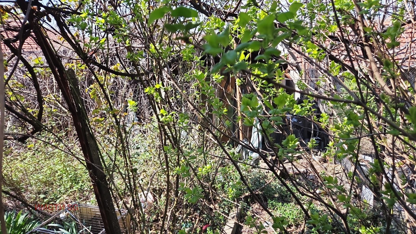 Продава КЪЩА, гр. Русе, Дружба 2, снимка 7 - Къщи - 52115190