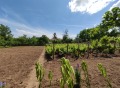 Продава КЪЩА, област Плевен, с. Пелишат • 63000 € • 34074135 — Holmes.bg
