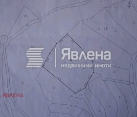 ����� ������� ���������� ����,�. ������, ������ �����