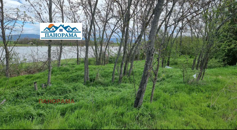 Till salu  Komplott region Plovdiv , Borec , 1001 kvm | 28803499
