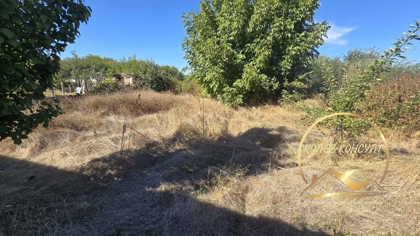 Продава КЪЩА, гр. Димитровград, област Хасково, снимка 3 - Къщи - 56186733