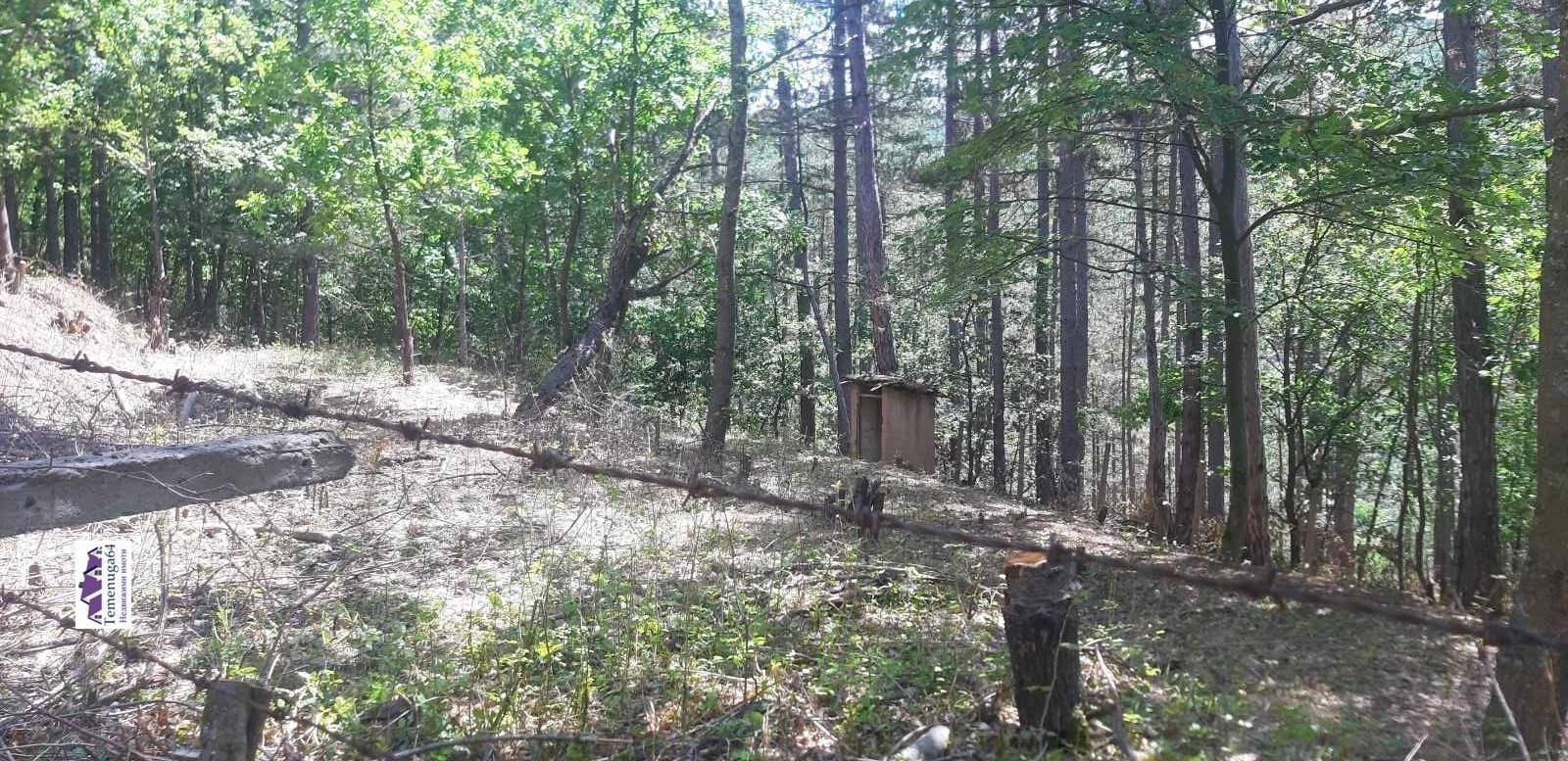 Продава ВИЛА, с. Владо Тричков, област София област, снимка 2 - Вили - 54083382