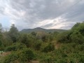 Продава КЪЩА, област Ловеч, с. Добревци • по договаряне • 32649919 — Holmes.bg