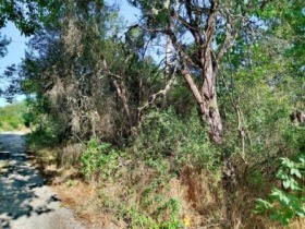 ������� ������ | Imot.bg � ����� ������ 3