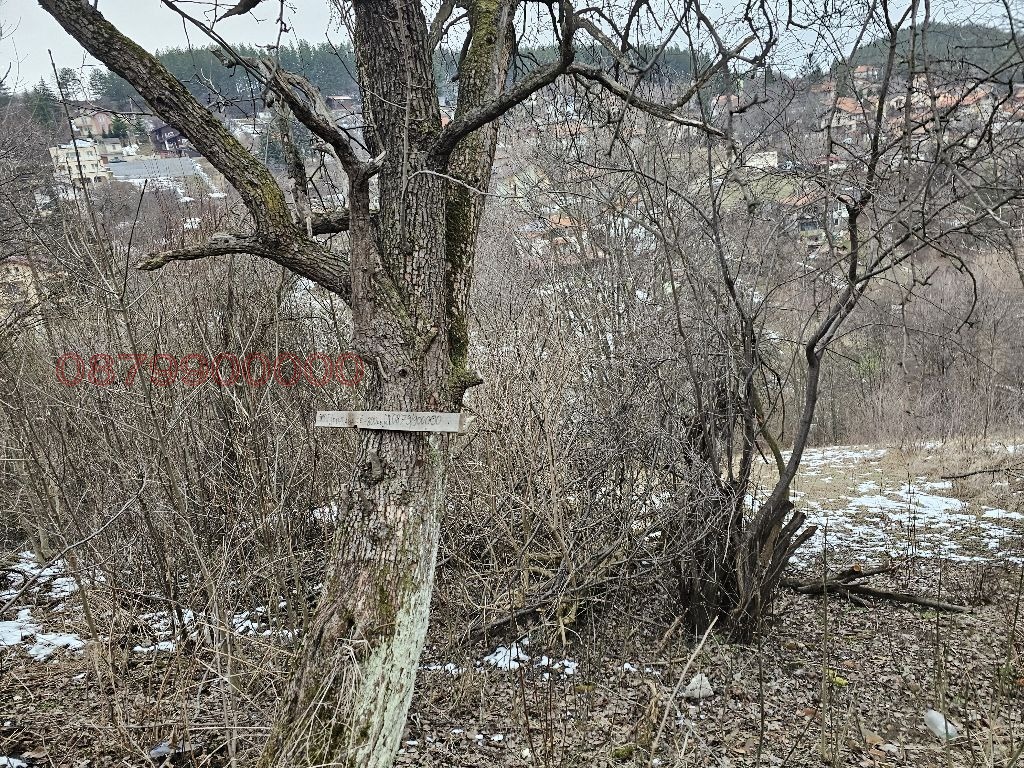 Продава ПАРЦЕЛ, гр. София, гр. Банкя, снимка 2 - Парцели - 54244728