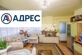 ����� ������� ����,���� �����, ��������