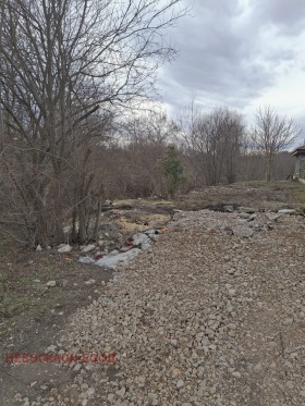 ������� ������ | Imot.bg � ����� ������ 8