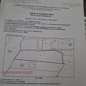 ������ ������� ������