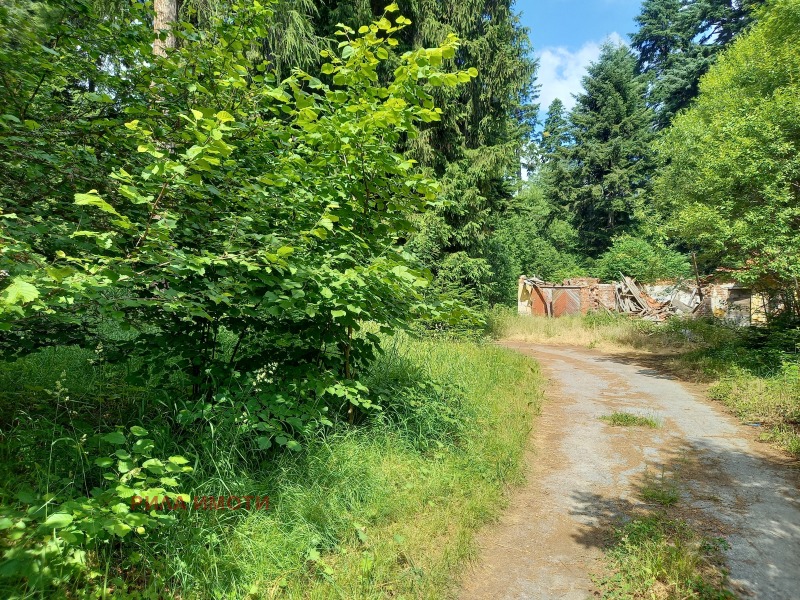 Til salg  Hus region Sofia , k.k. Borovets , 300 kvm | 35615120 - billede [6]