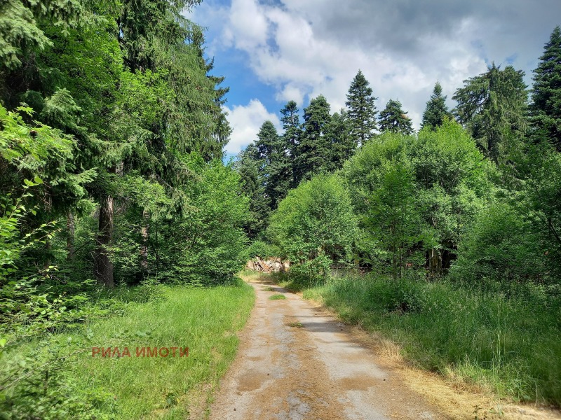 Til salg  Hus region Sofia , k.k. Borovets , 300 kvm | 35615120 - billede [3]