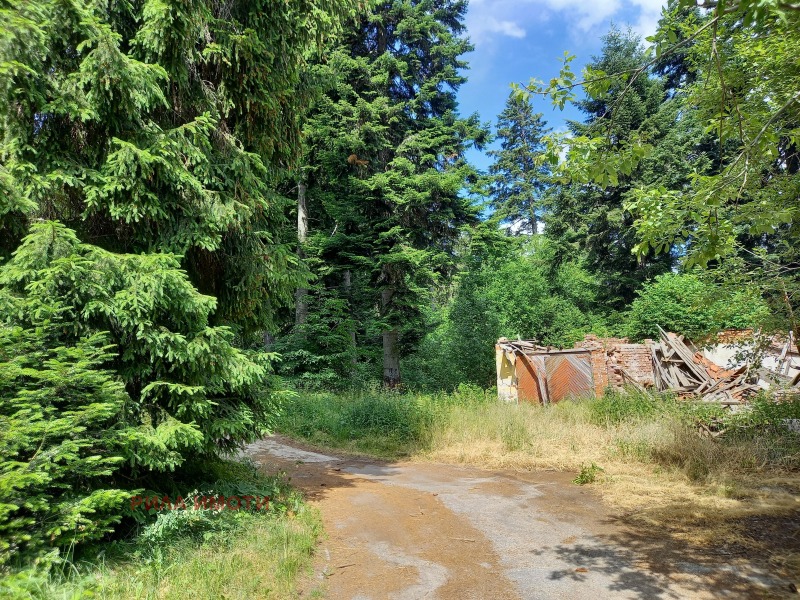 Til salg  Hus region Sofia , k.k. Borovets , 300 kvm | 35615120 - billede [7]