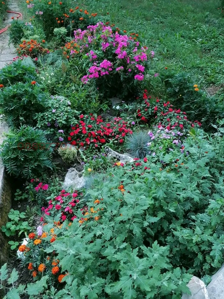 Продава ХОТЕЛ, с. Балканец, област Ловеч, снимка 4 - Хотели - 52797912