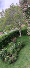 Продава КЪЩА, гр. Балчик, област Добрич, снимка 10