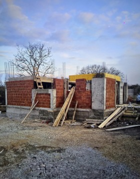 ������ ������� ����