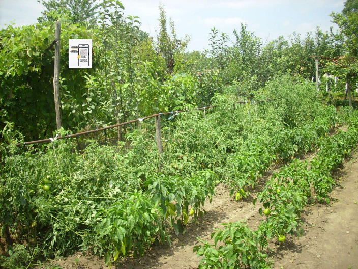 Продаја  Плот регион Добрицх , Градини , 4900 м2 | 24258544
