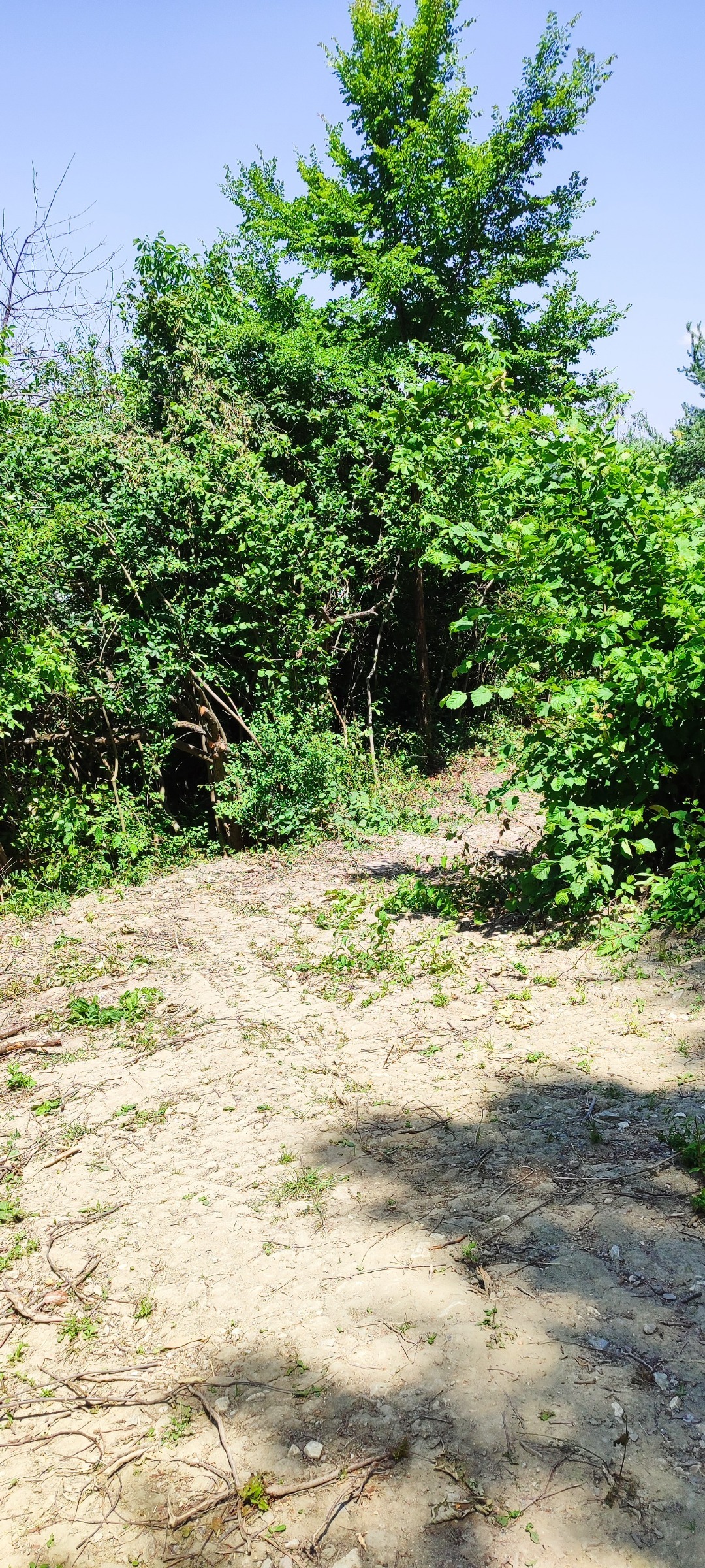 ������� ������ | Imot.bg � ����������� 2