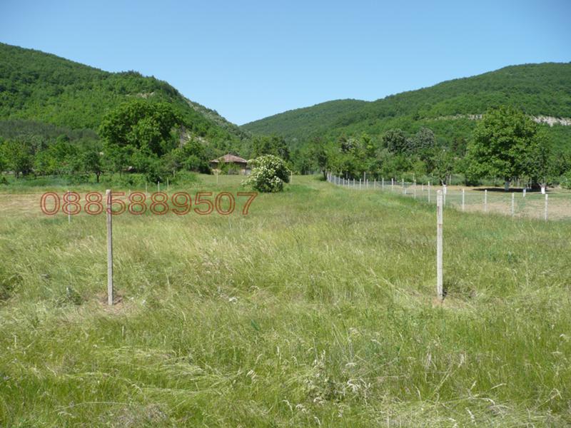Продава ПАРЦЕЛ, с. Чешма, област Велико Търново, снимка 4 - Парцели - 52781178