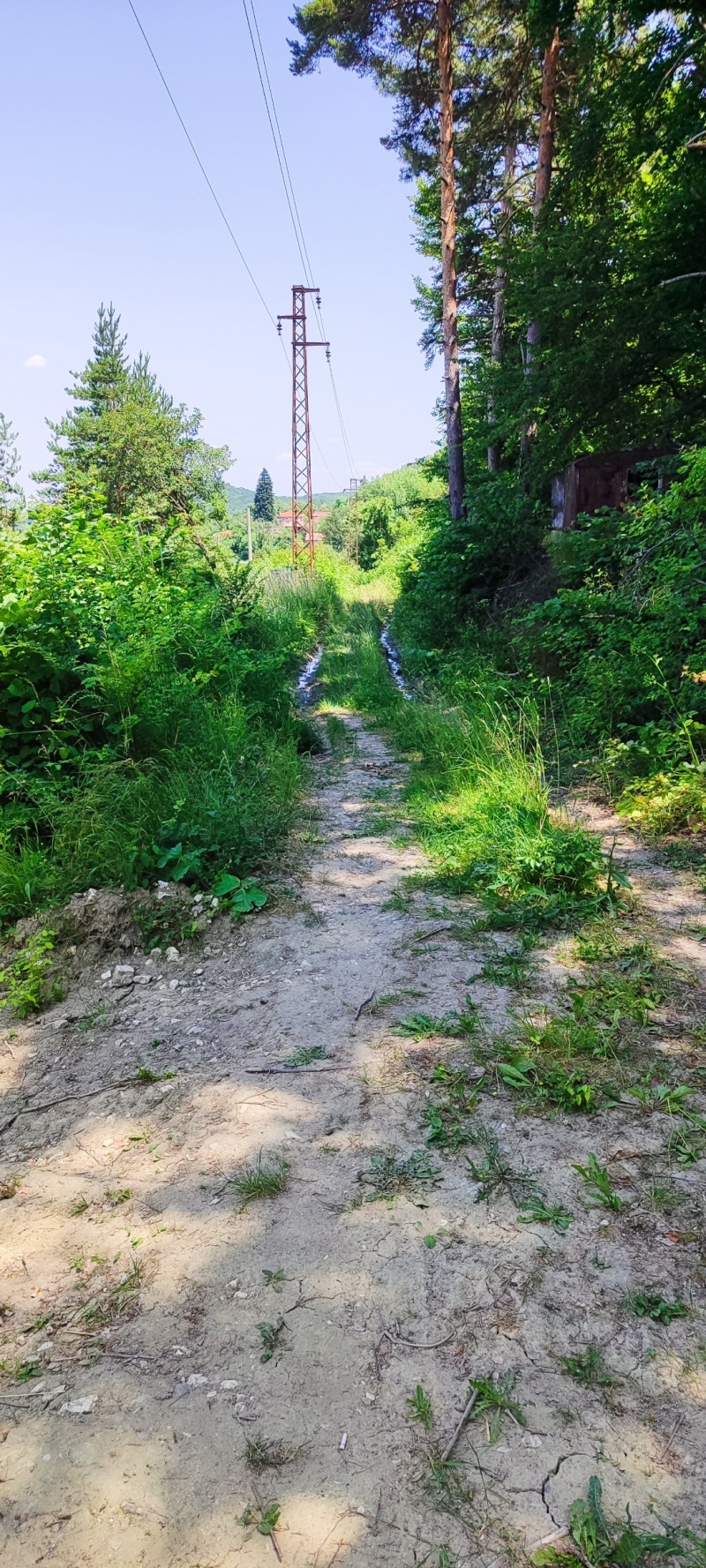 Zu verkaufen  Handlung region Plowdiw , Galabowo , 600 qm | 23649832 - Bild [3]