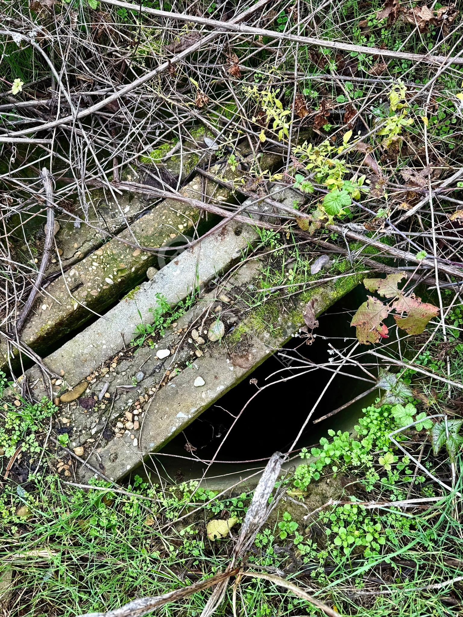 ������� ������ | Imot.bg � ����������� 4