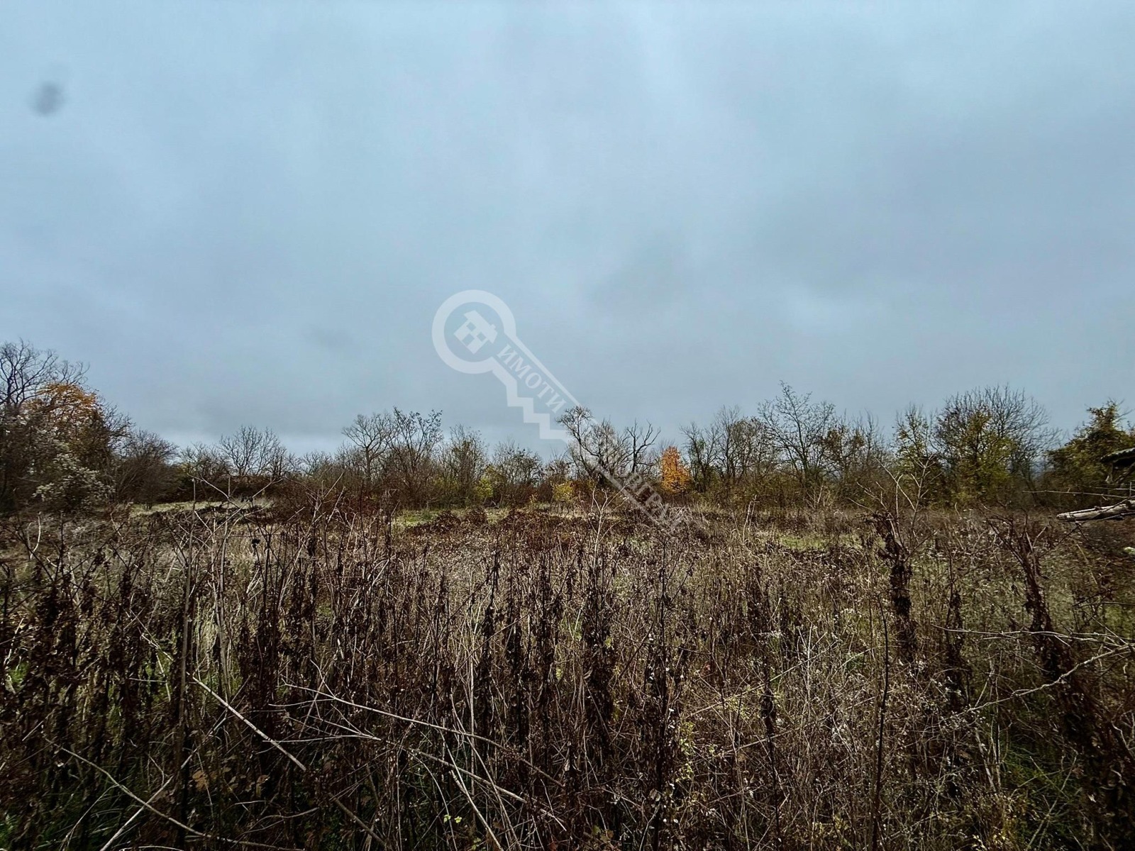 ������� ������ | Imot.bg � ����������� 5