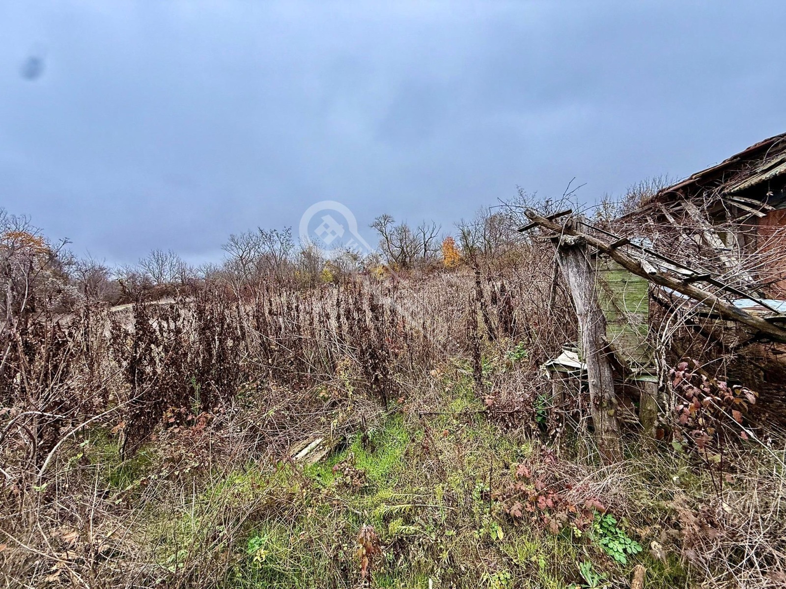 ������� ������ | Imot.bg � ����������� 3